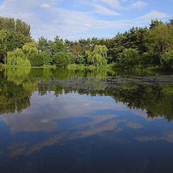 Old Stable Fishing Image